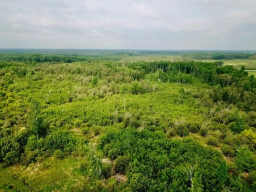 Photo for 3274 County Road 1 SW, Baudette, MN 56623 - Listing #6736738 3274 County Road 1 SW, Baudette, MN 56623