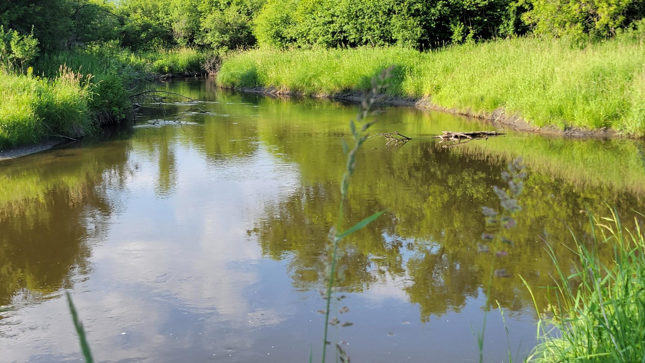 Buffalo River