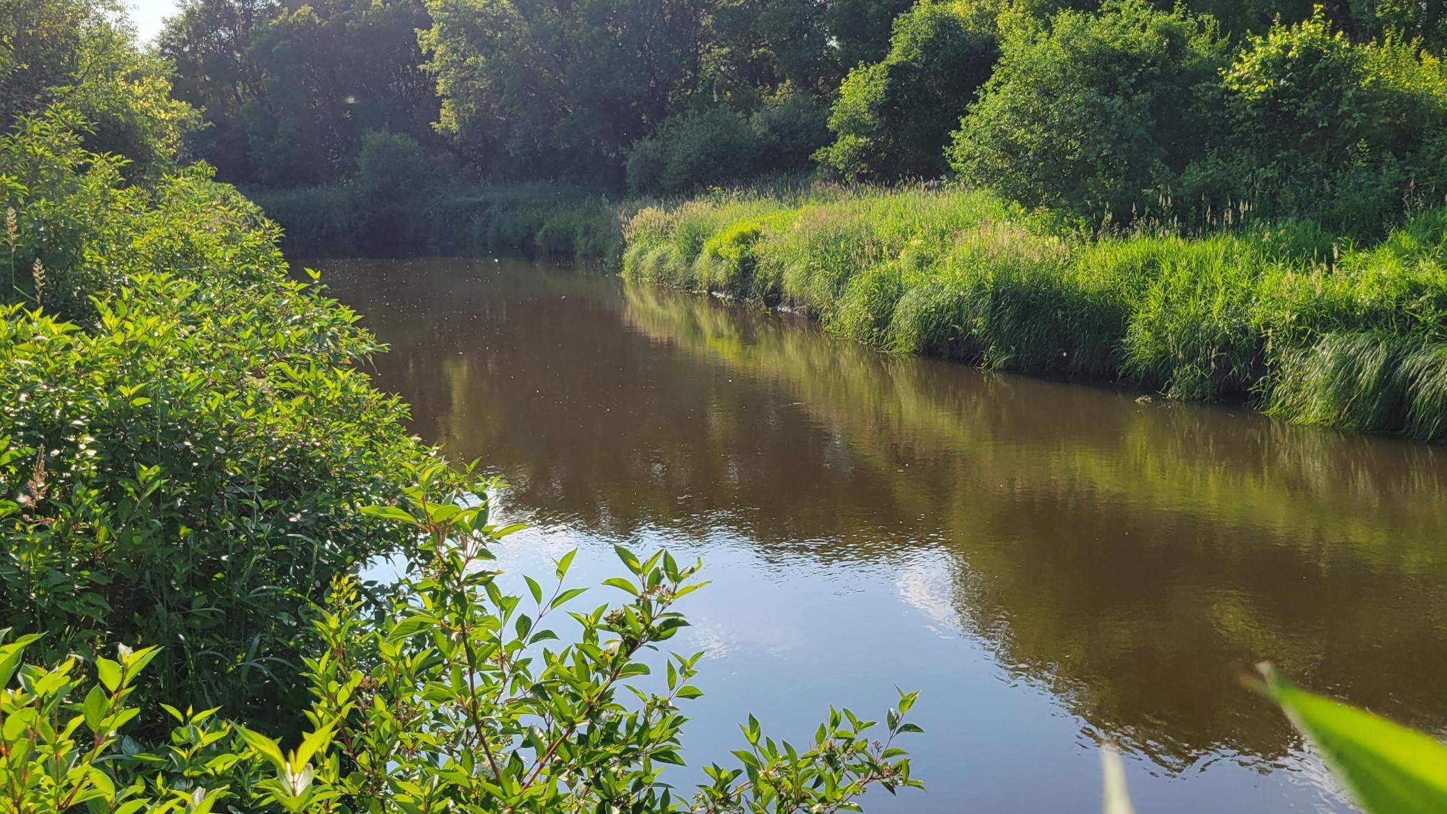 Buffalo river