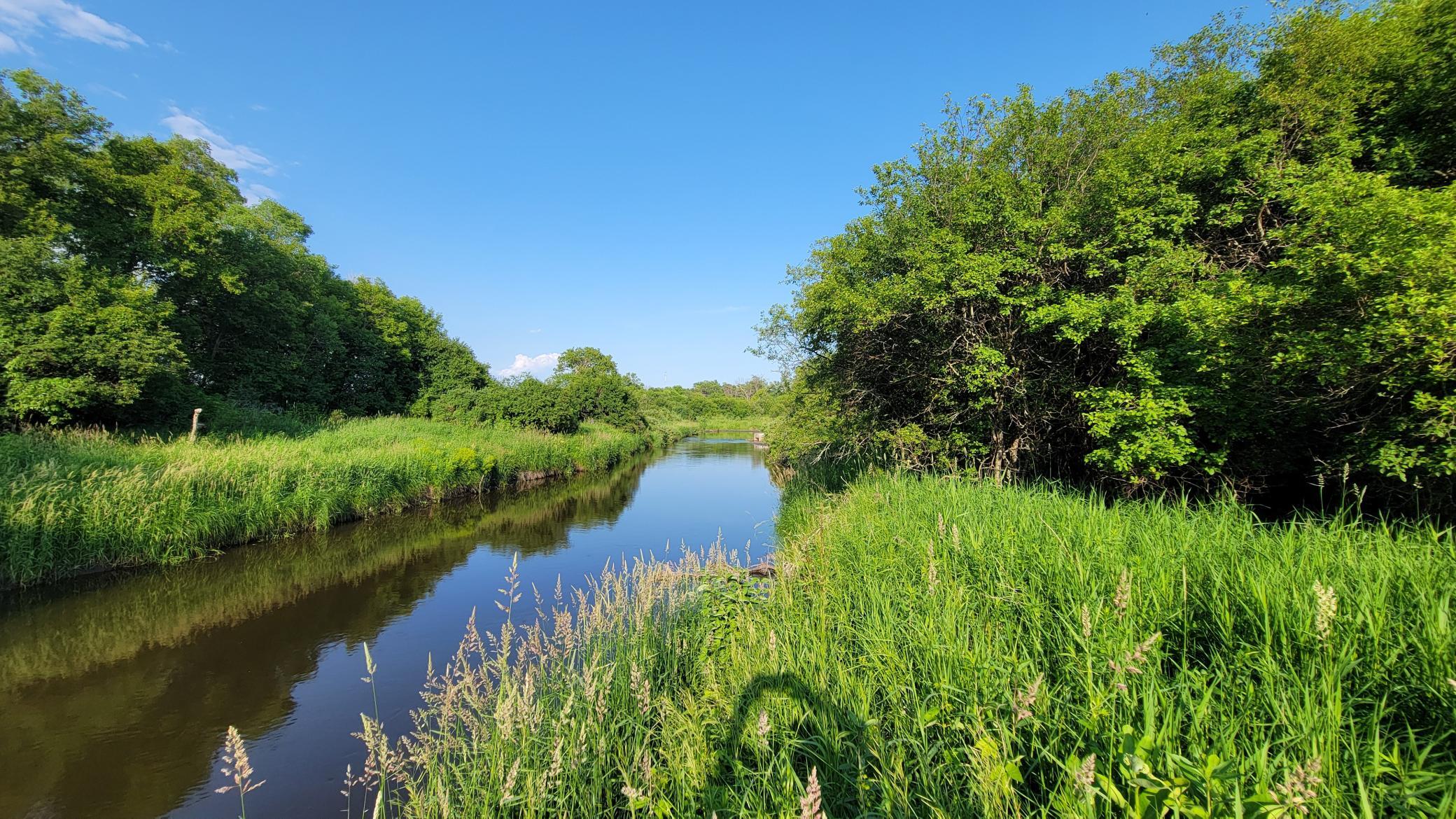 Buffalo river