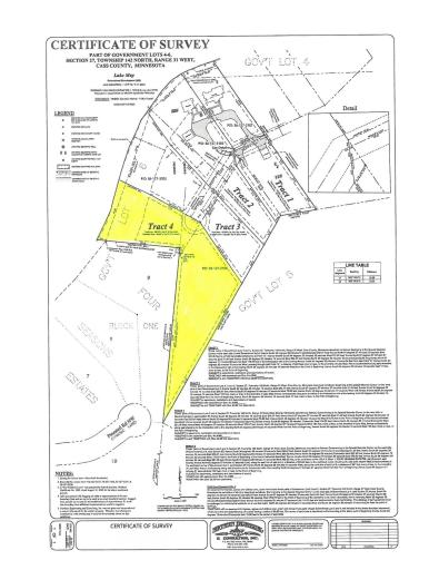 Tract 4 Lake May Drive NW, Akeley, MN 56433