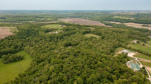 DJI_0504.jpg