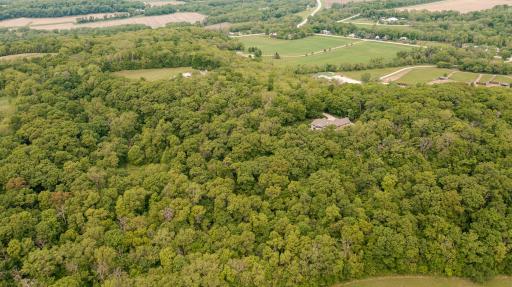 DJI_0503.jpg