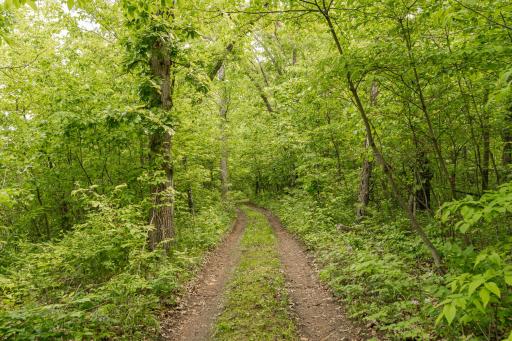 DSC_3705.jpg