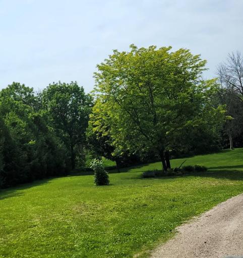 28246 Morgan Road, Wykoff, MN 55990