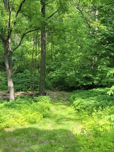 28246 Morgan Road, Wykoff, MN 55990