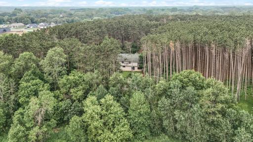 17121 Variolite Street NW, Ramsey, MN 55303