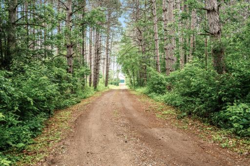 17121 Variolite Street NW, Ramsey, MN 55303