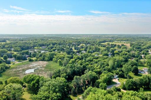 The aerial view shows how the woods and wetlands provide privacy.