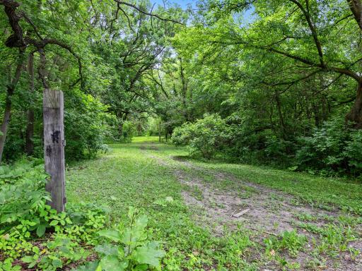 This trail head back to the pond that