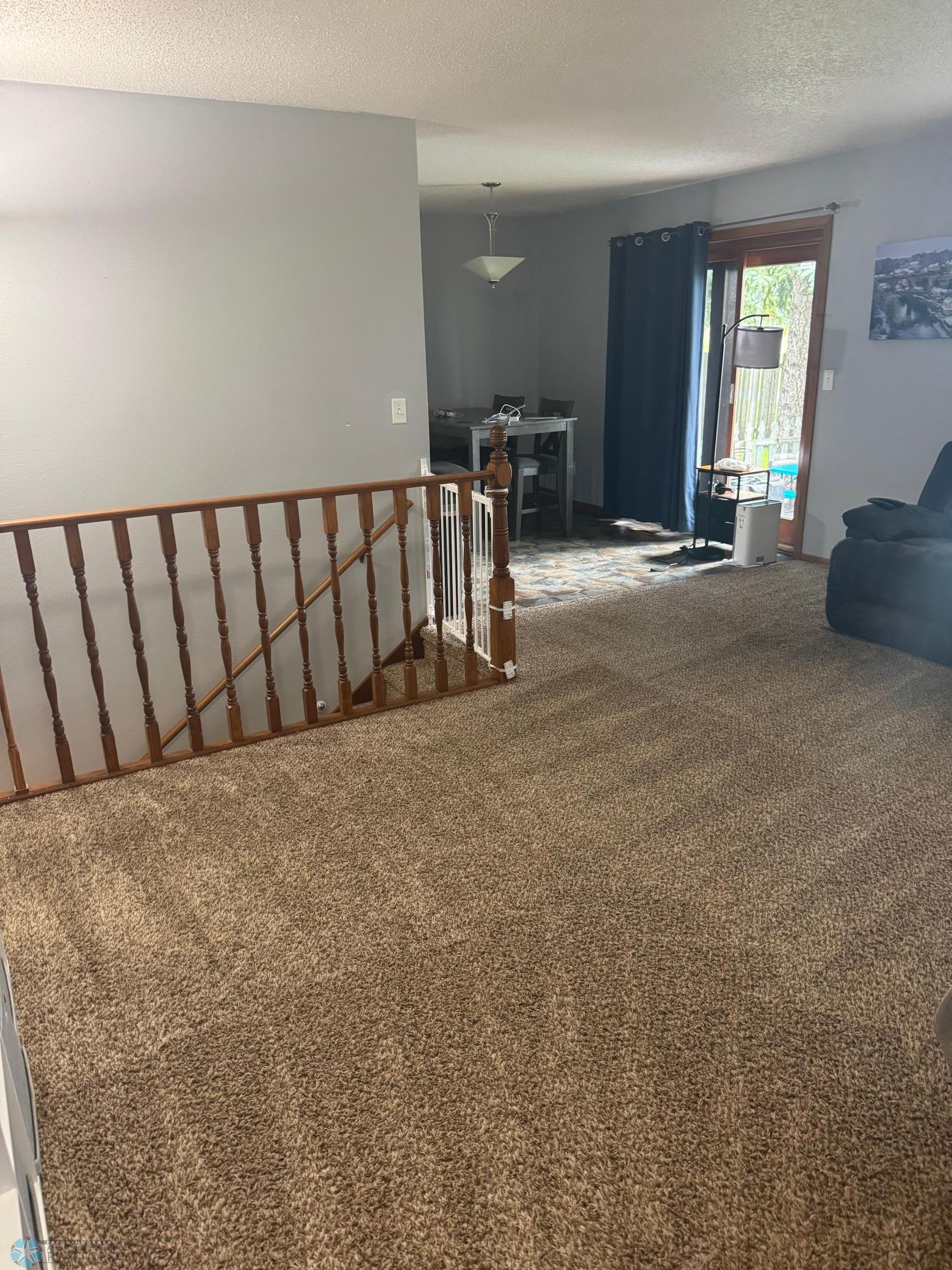 Main Carpet Cleaned.jpeg
