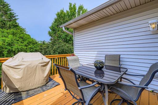 398 Bluebird Lane, Saint Paul, MN 55125