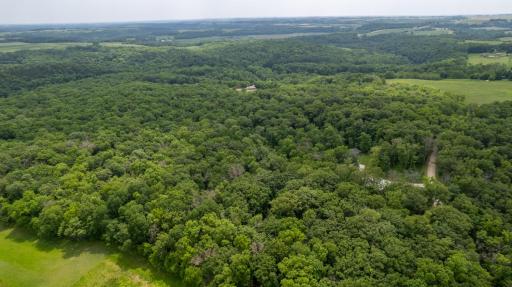 31340 Indigo Road, Fountain, MN 55935