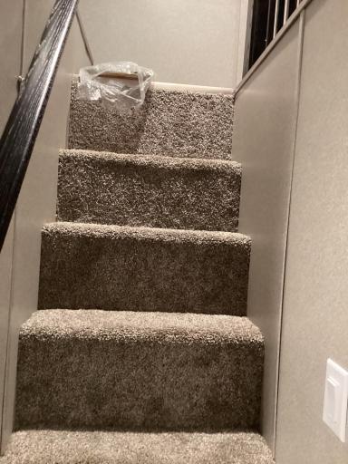 steps to upper level