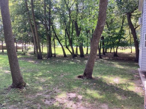 Large double lot for future home