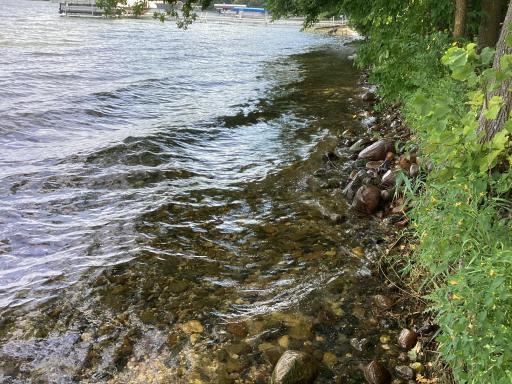 Hard bottom great swimming