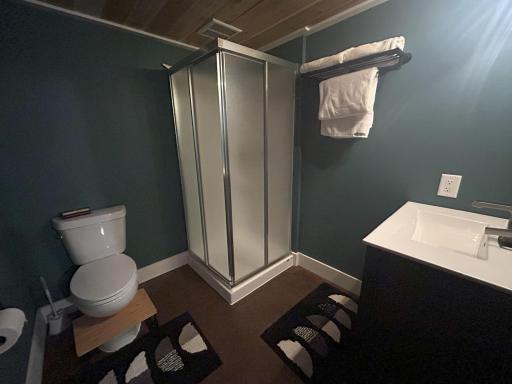 Lower Level bath with Stamped concrete floor