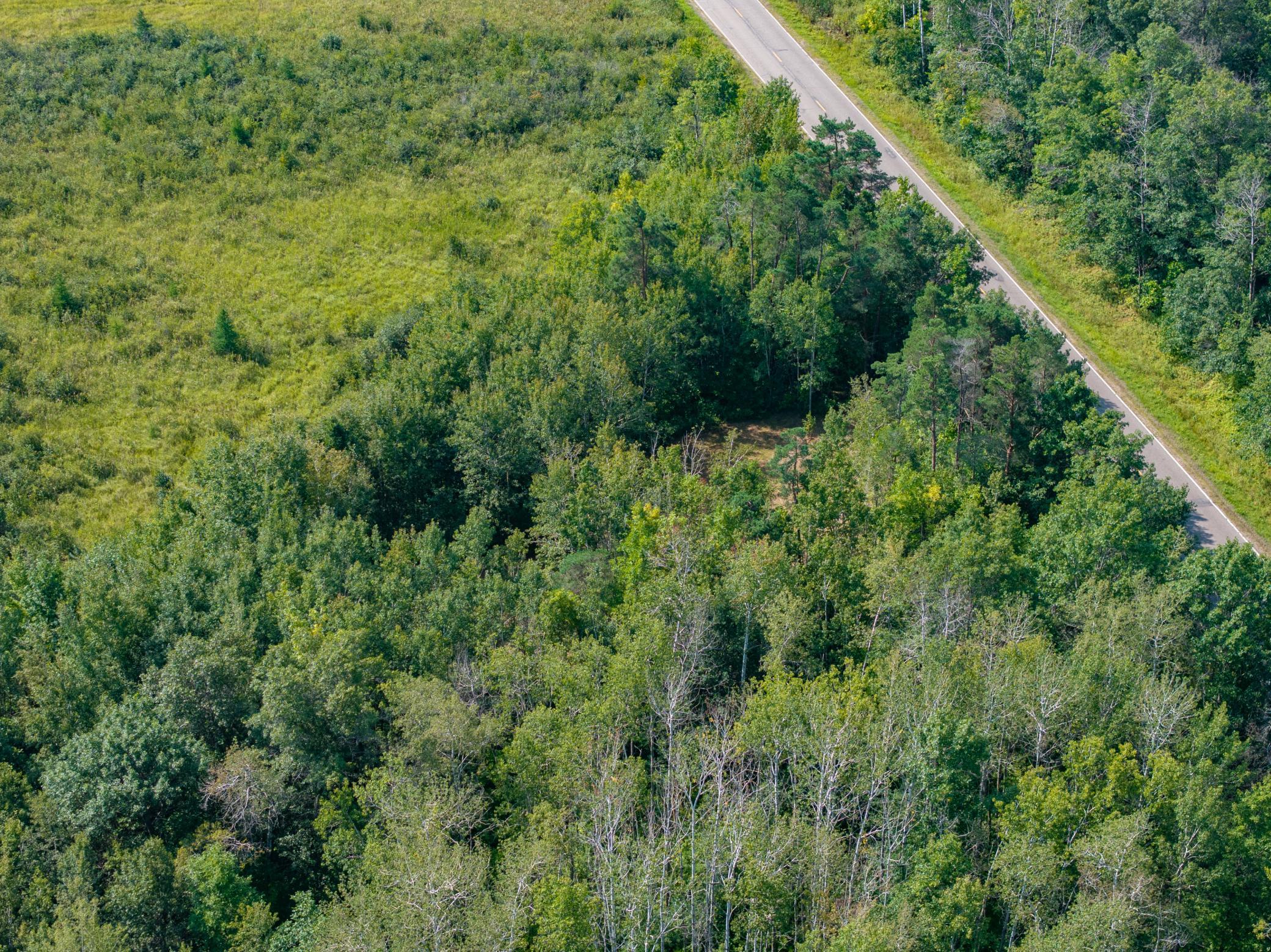 Northwest Woods