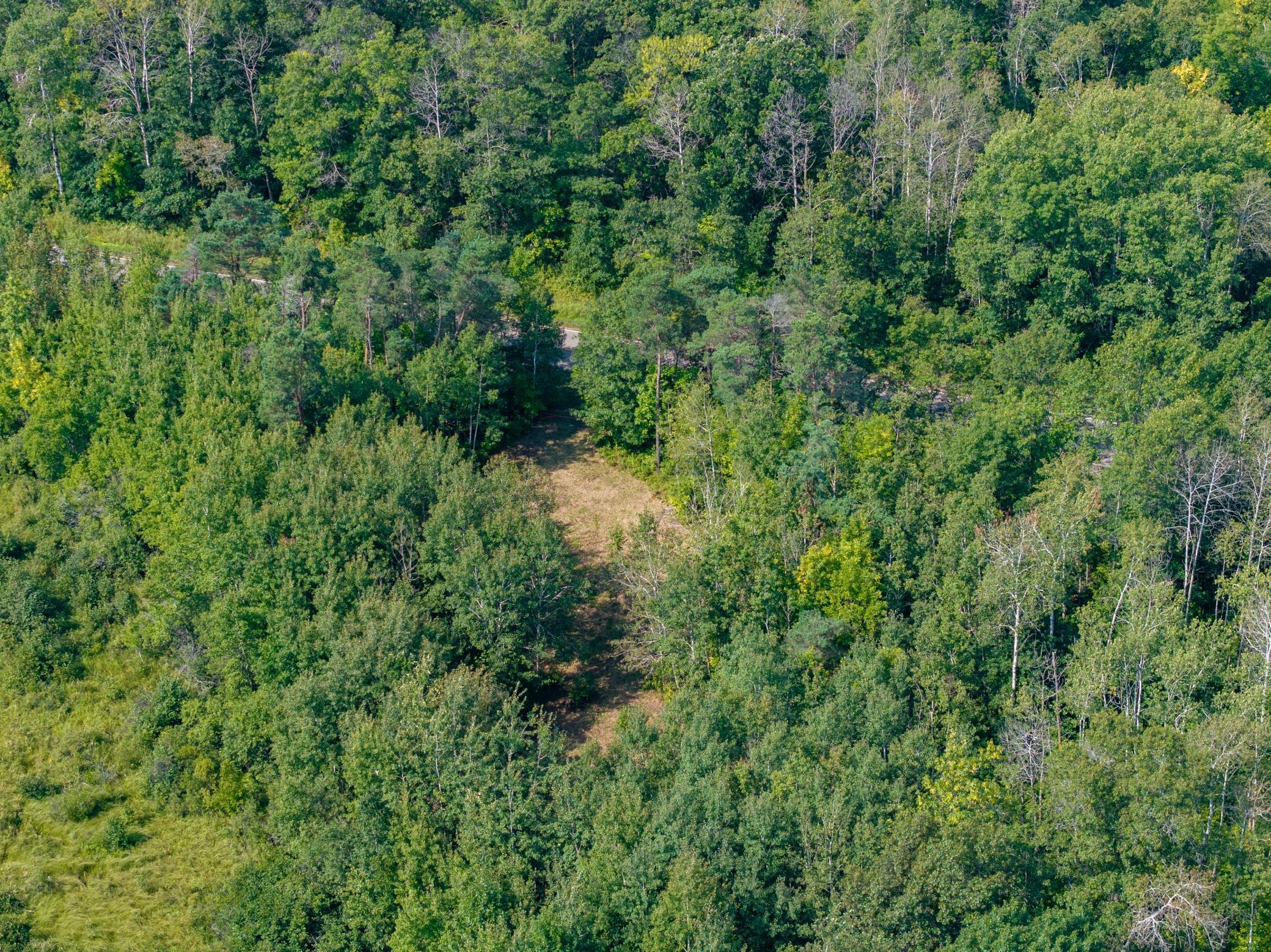 Wooded Flatlands