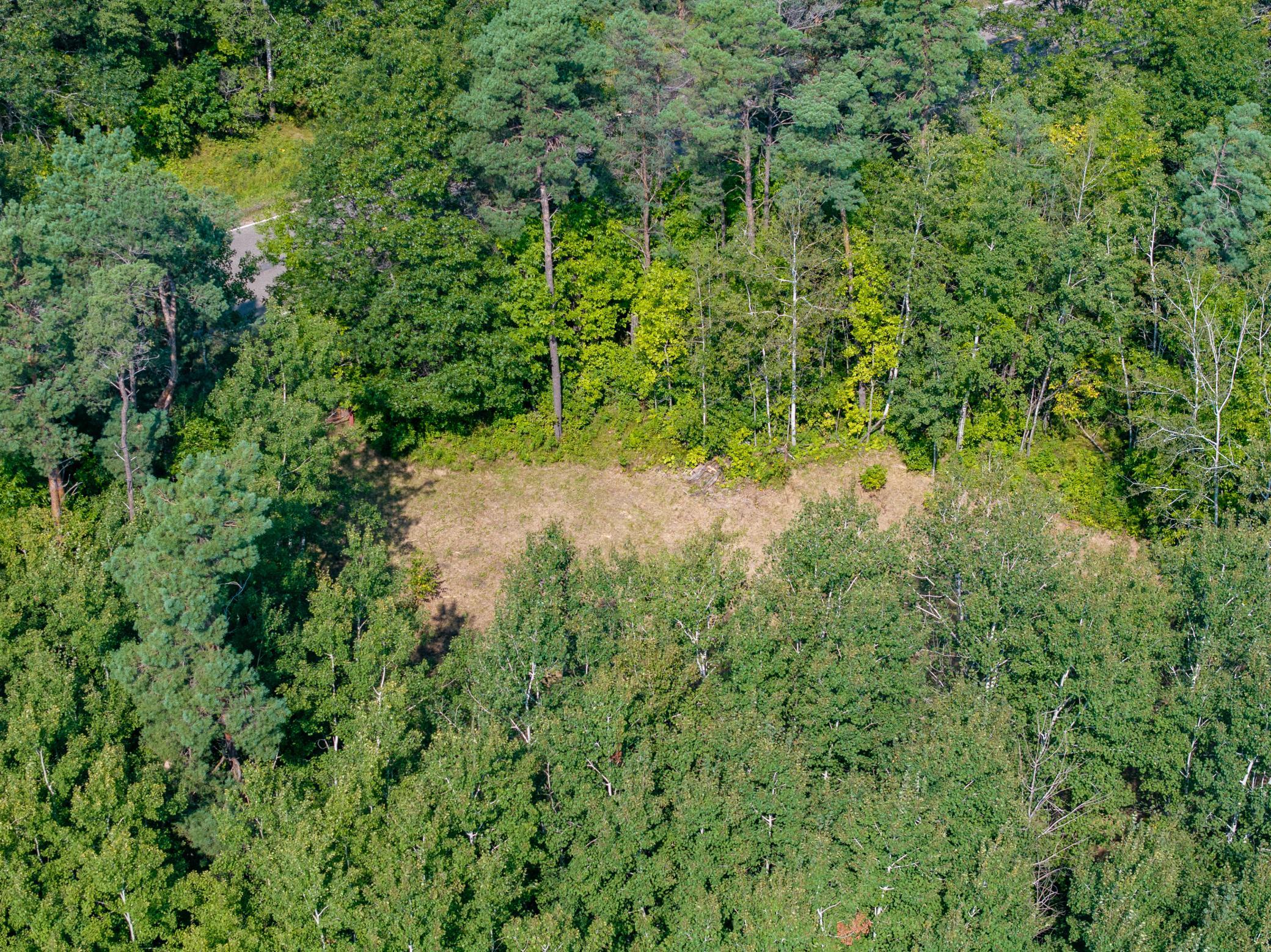 Overview