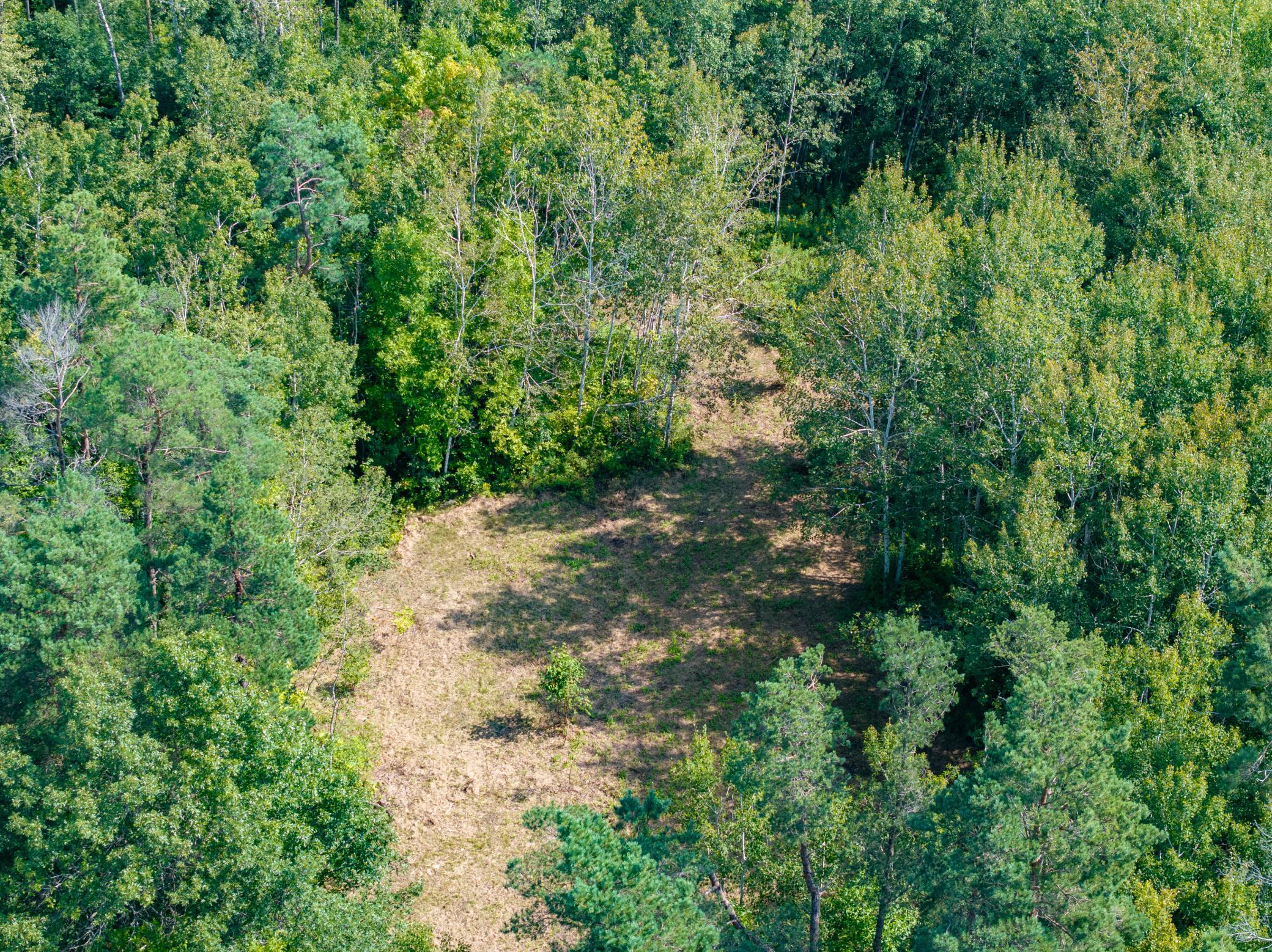 Overview Detail