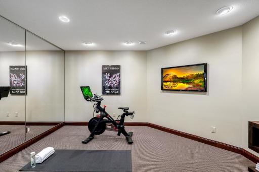 The lower level also boasts a dedicated workout room, an executive office, wine room, 2 large utility/storage rooms and a 2nd laundry room.