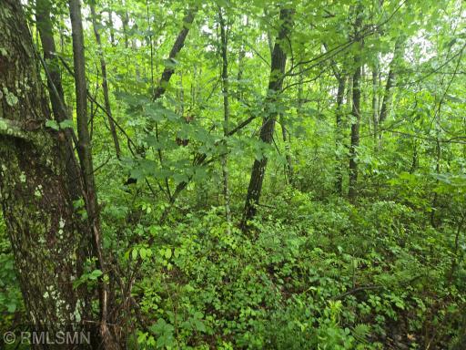 xxx E Oak Street, Webster, WI 54893