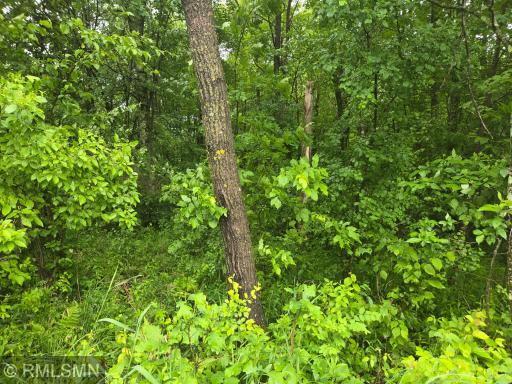 xxx E Oak Street, Webster, WI 54893