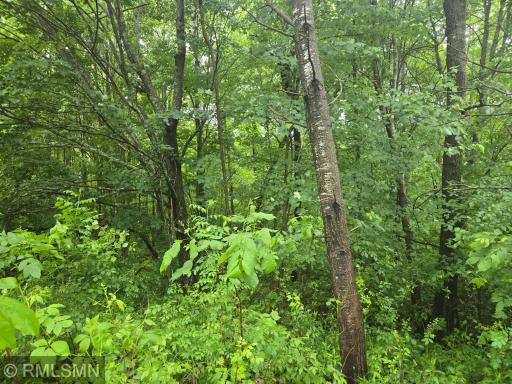 xxx E Oak Street, Webster, WI 54893