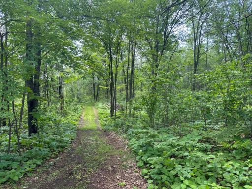 2518 County Road 39, Willow River, MN 55795