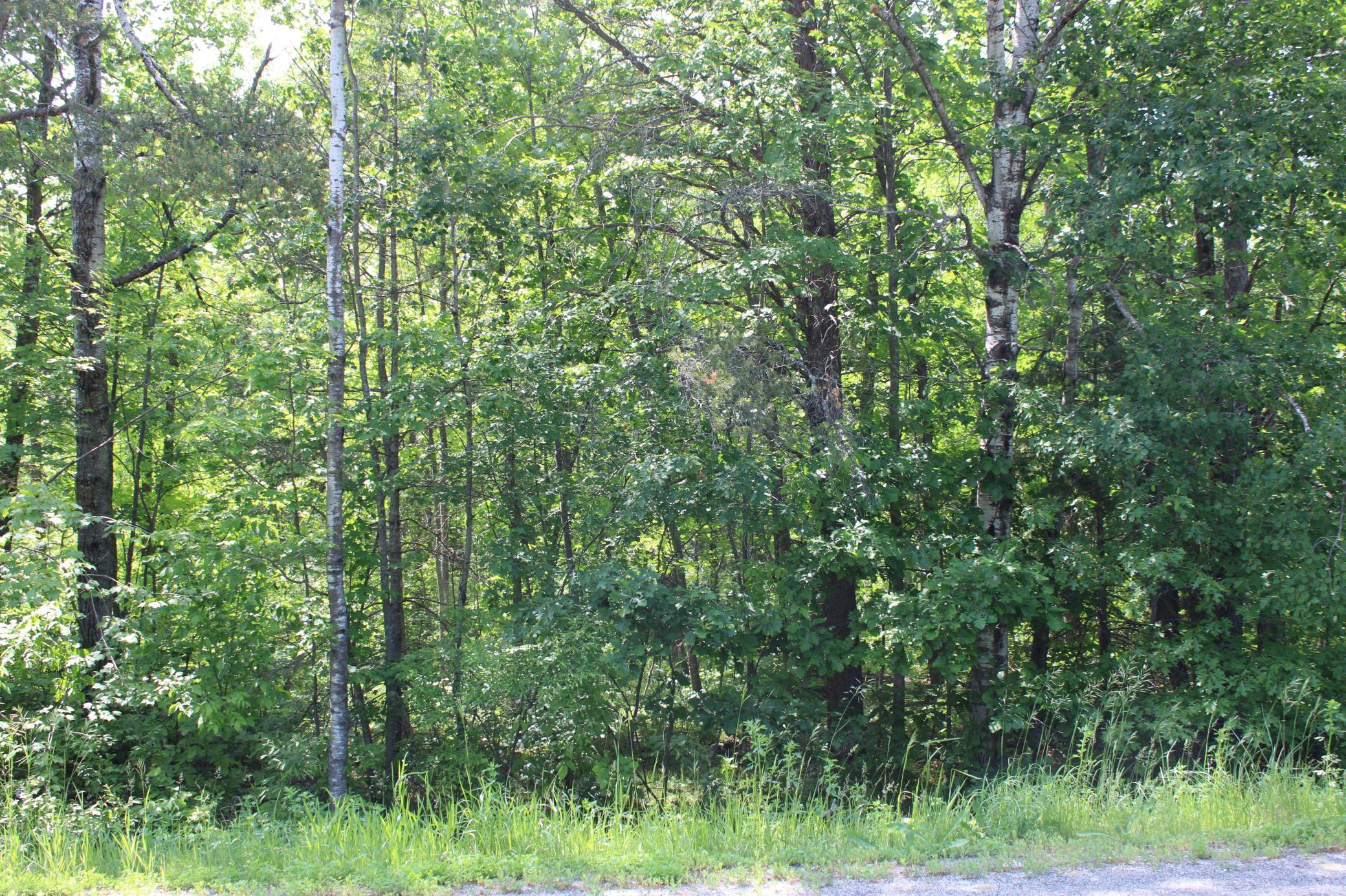TBD Centerline.JPG
