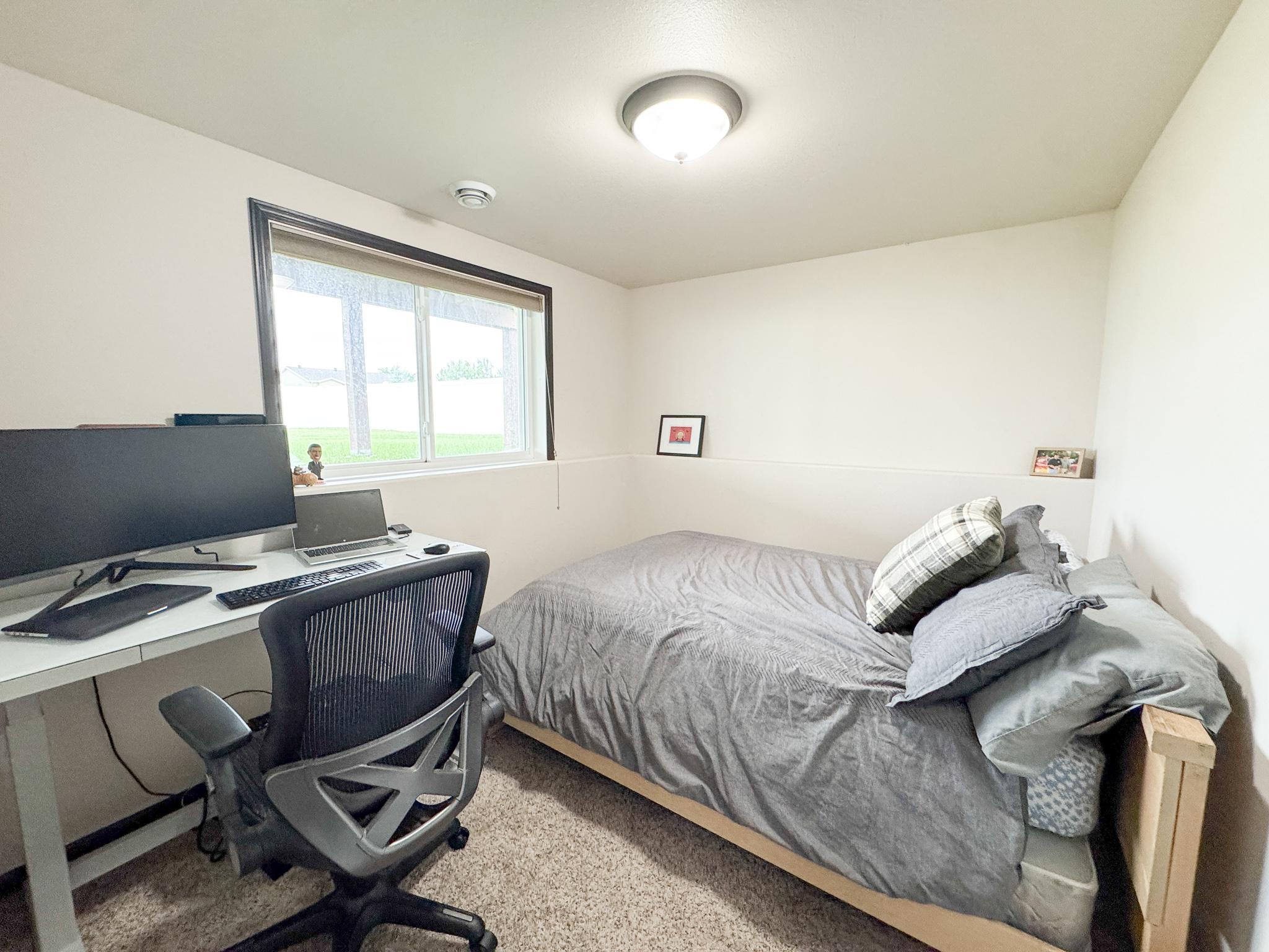 Lower Level Bedroom.jpg