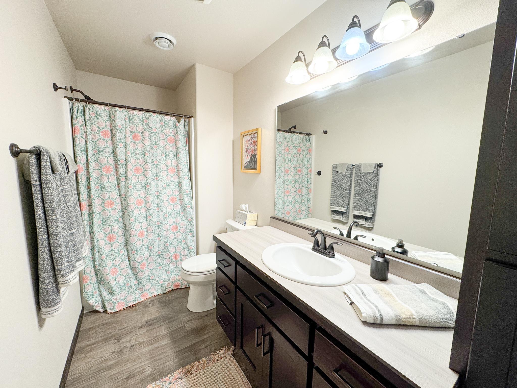 Lower Level Bathroom.jpg