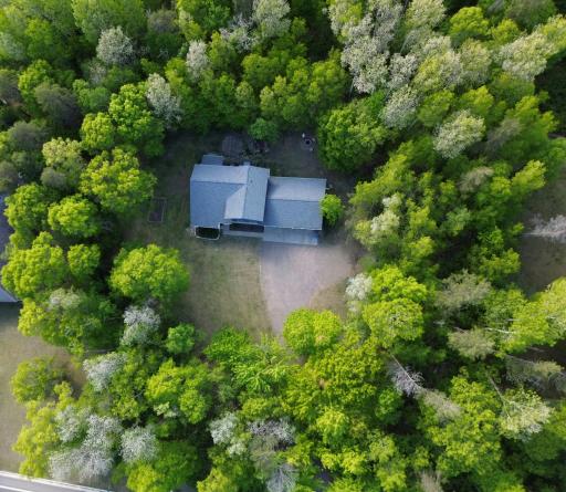 Close to everything, but nestled in mature trees for privacy