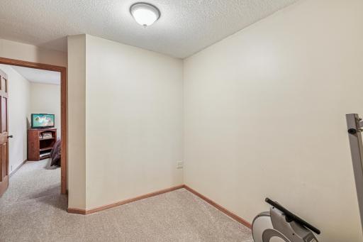 Basement den, could be used as an office or a gym
