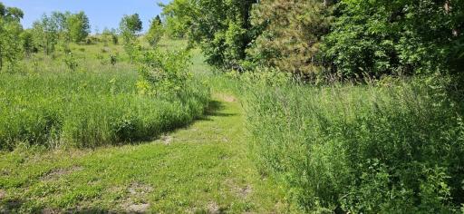 10650 Nursery Lane NW, Brandon, MN 56315