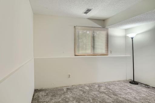 2829 Flag Ave N - Web Quality - 022 - 23 Lower Level Bedroom.jpg