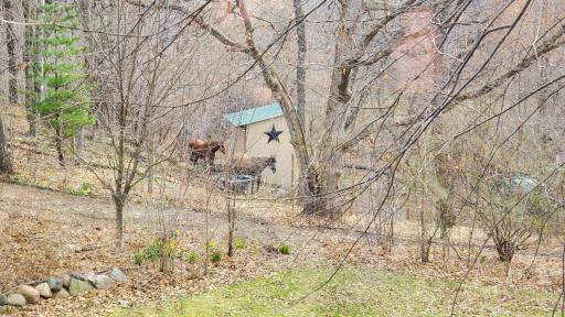 View of the paddock from the back yard. Shown in spring with two horses in residence. Property is 5 minutes from Lebanon Hills Regional Park with miles of wooded horse trails.