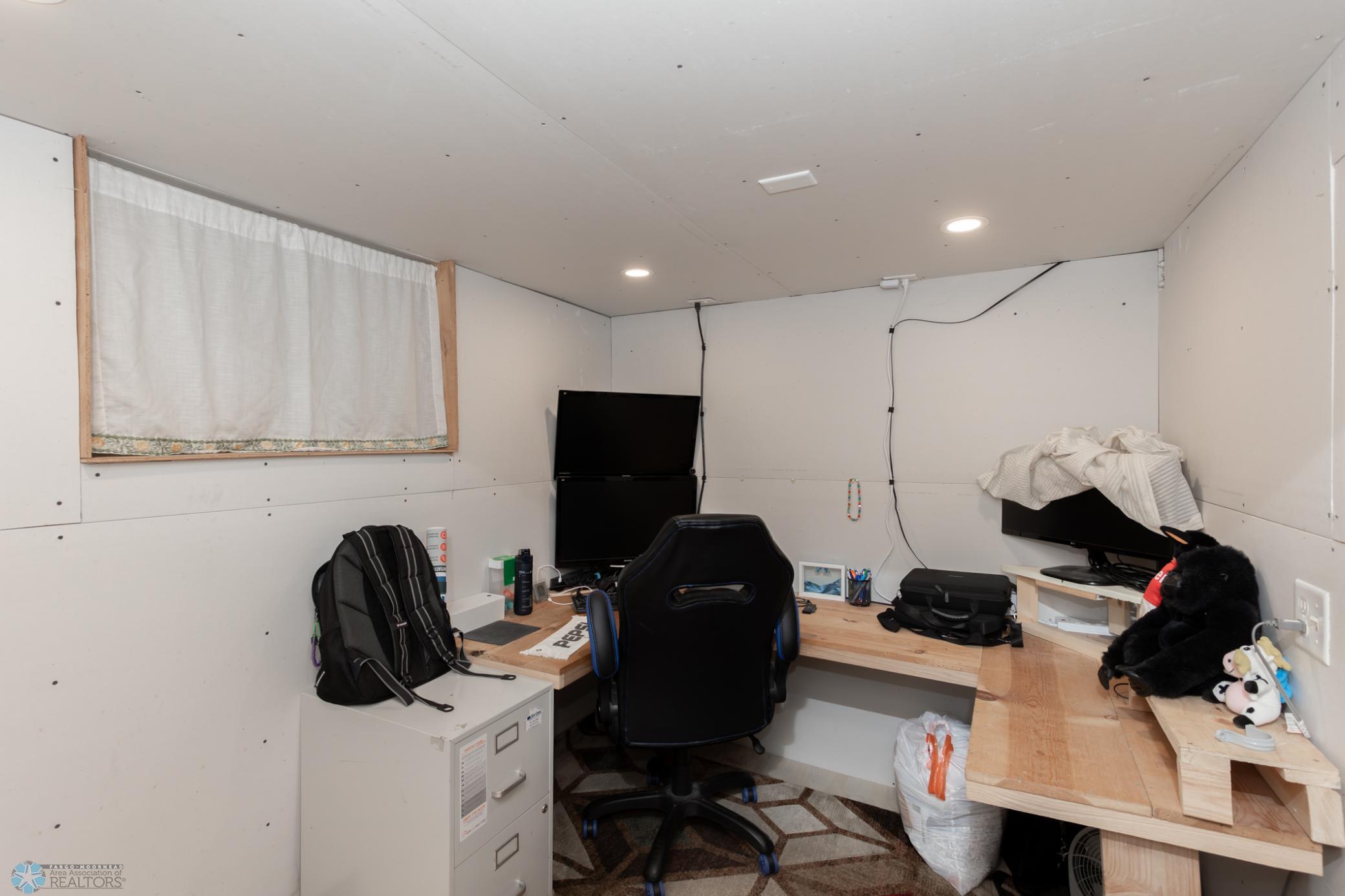 Basement Bonus room