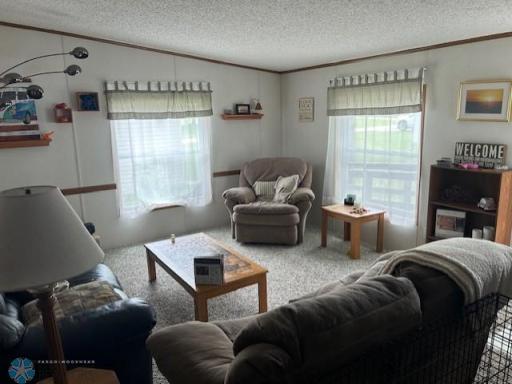 48463 Squaw Point Loop, Perham, MN 56573
