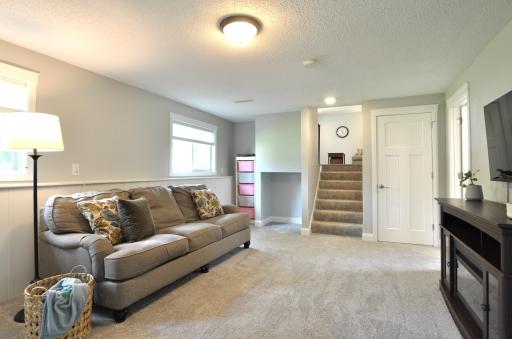 Lower Level Family Room