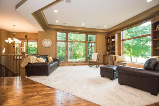 Tray ceilings and large Andersen windows for natural light