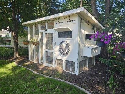 Chicken Coop in Back Yard