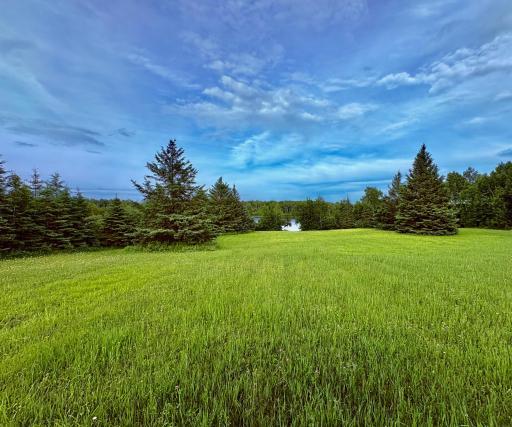 Photo for 11757 State Highway 11 SE, Baudette, MN 56623 - Listing #6740046 Beautiful slope to river with mature evergreens