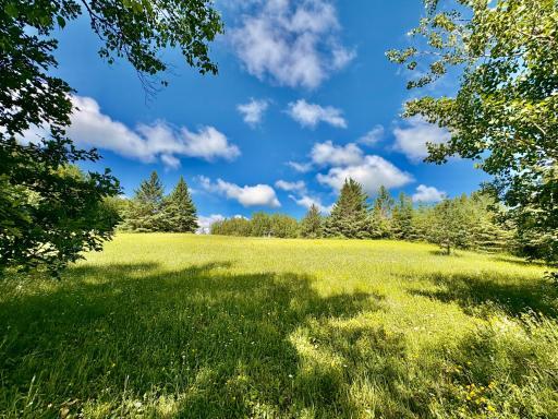 Photo for 11757 State Highway 11 SE, Baudette, MN 56623 - Listing #6740046 Looking up the hill at the cabin from the river