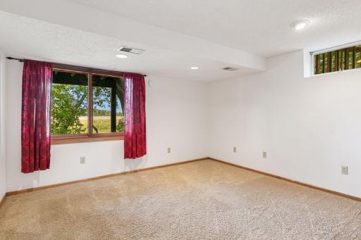 Lower Level Bedroom