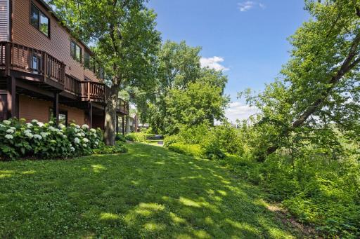 Lawn space behind home. Additional side lawn space.