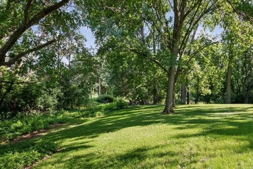 Lawn space