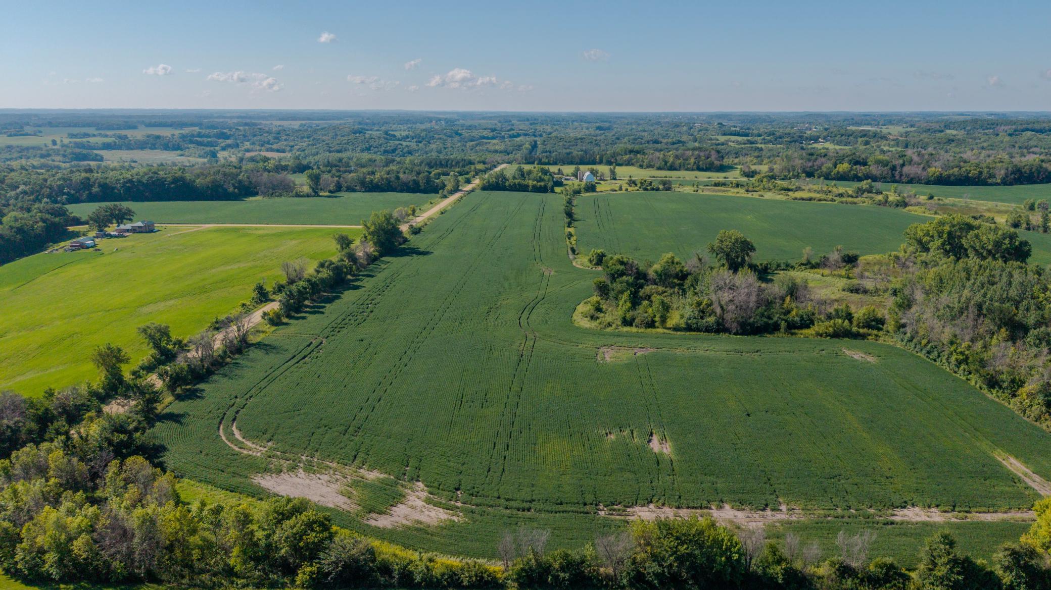 3-DJI_20260822101106_0009_D-HDR.jpg