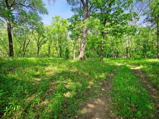 Lot 2 Central Drive NE, Cambridge, MN 55008